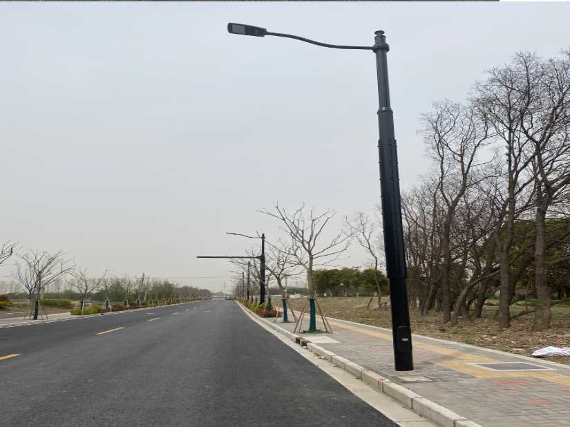 冷水滩区上海综合杆 太阳能路灯工程